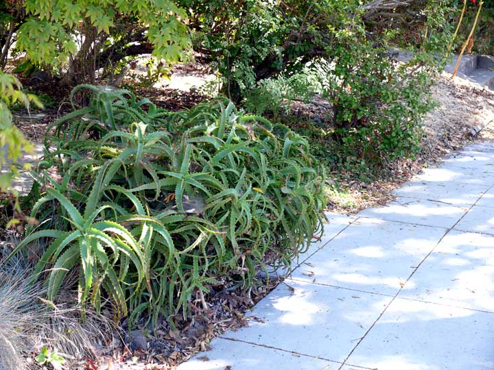 best friend quotes_30. Quotes30 Aug 