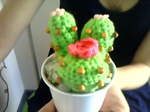 cacti
