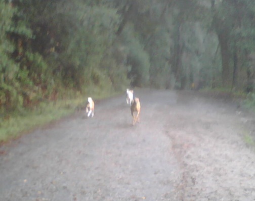 img00130 img00130