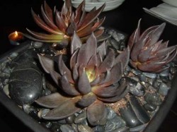 dscf0174
