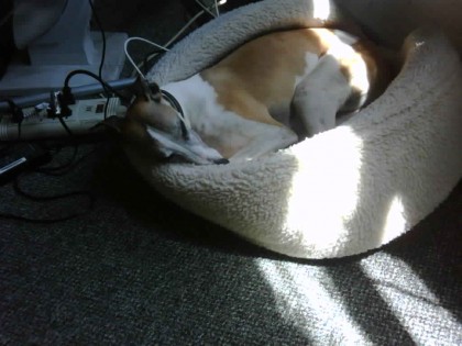 benjamin-at-workshare