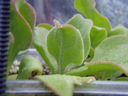 P7261913 resize