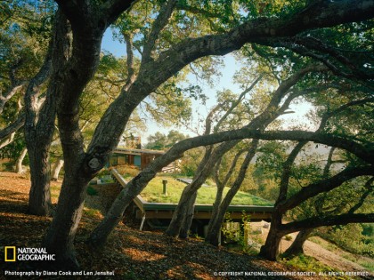santa-lucia-green-roof-1212848-090609-sw