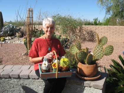 65cactus1122 65cactus1122