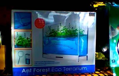 ant_farm
