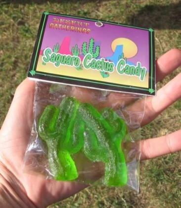 cactuscandy1 cactuscandy1