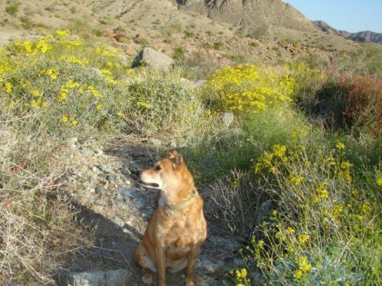 hike 3-24-10 015