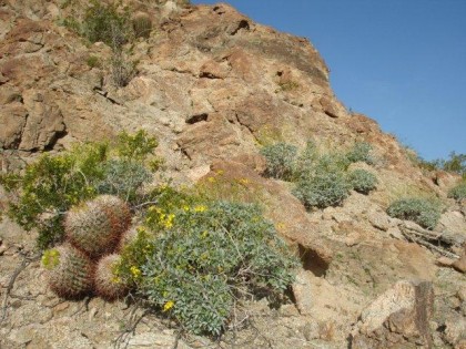 hike 3-24-10 029