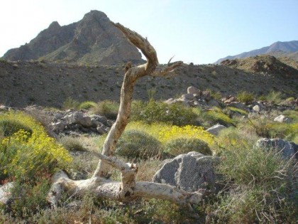 hike 3-24-10 041