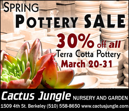 pottery pottery