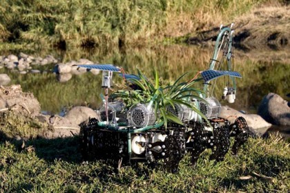 post_full_1270684331nomplant3
