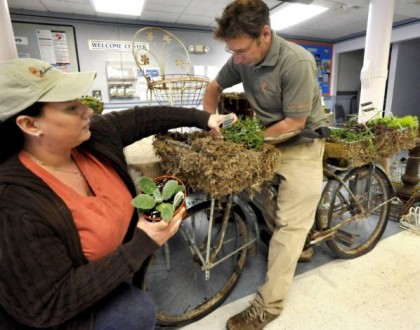 succulent_bike