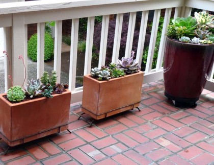 SucculentsDeck