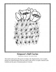 simpsonballcactus_jpg