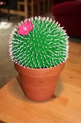 cactus1