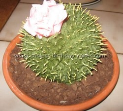 cake_decorating_tips_02