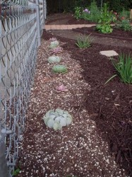 May-Planting