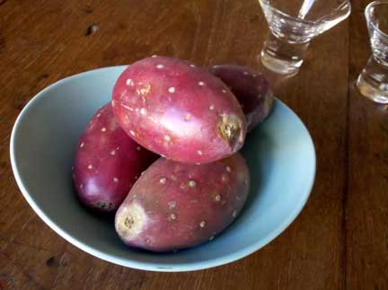 prickly_pear_fruit_tuna