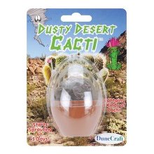 cactus_egg