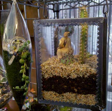 terrariums_2010j