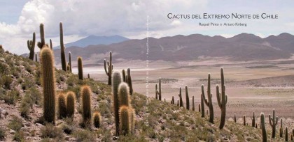 portata-extendida-web