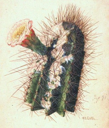 1767