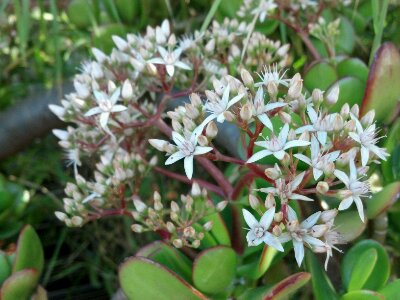 2012-01-05_12-22-27_788.jpg image