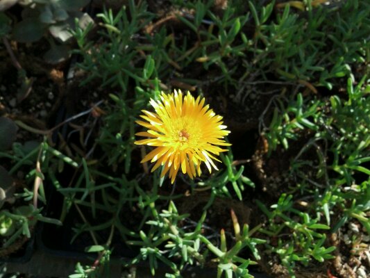 2012-01-05_14-45-08_474.jpg image