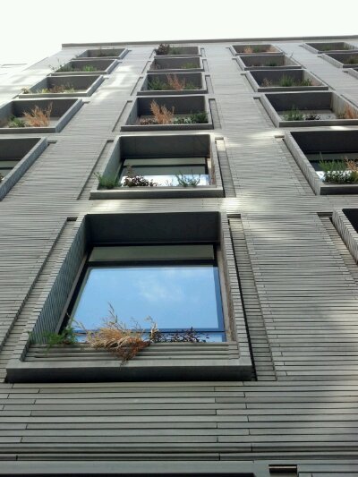 2012-02-01_13-28-34_350.jpg image