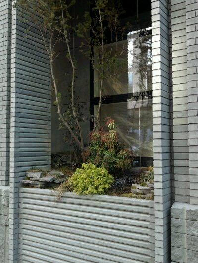 2012-02-01_13-28-53_990.jpg image