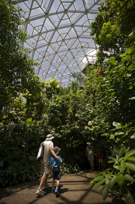 climatron