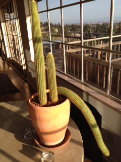 photo(14)