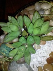 2012-05-30_20-31-42_463