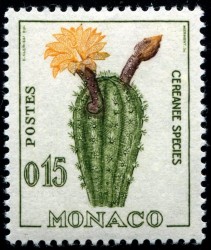 MiermontMonaco471Cactus