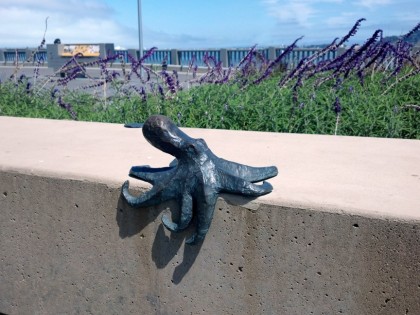 cast iron octopus in the garden