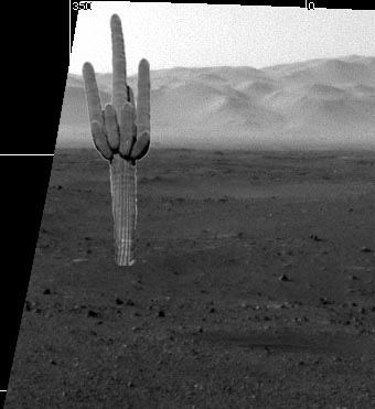 mars-rover-curiosity-new-home3