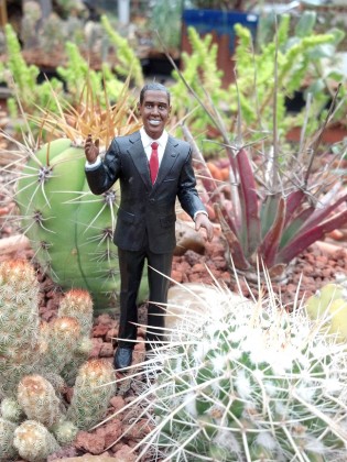 obama in the garden