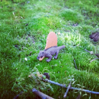 dinosaur in the garden