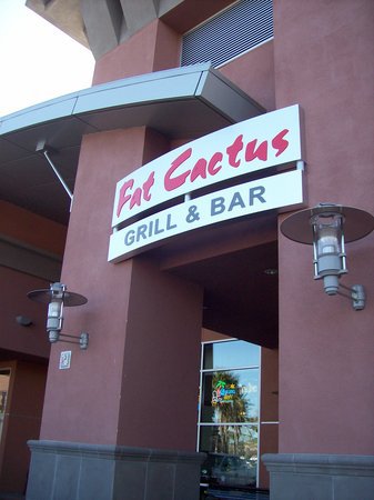fat cactus