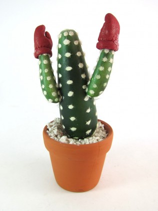 boxing glove cactus