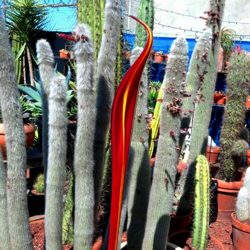 CameraZOOM-20130323092228582.jpg image