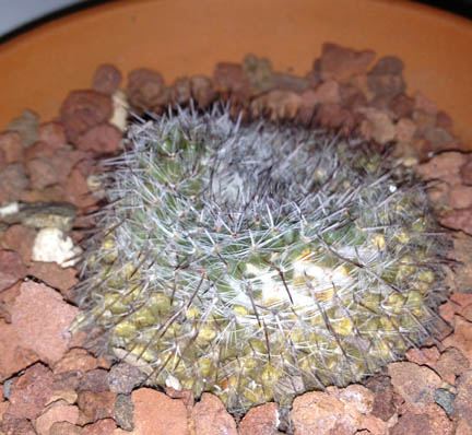 photo(2)