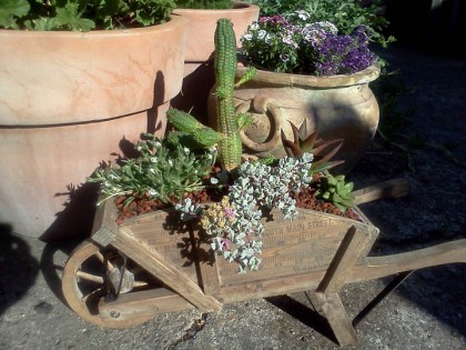 tiny wheelbarrow planter