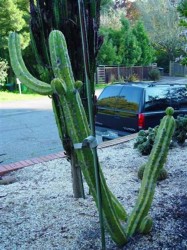 image001