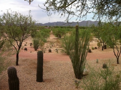 The-view-of-Prickly-Park-from-the-Natural-Resources-Parks-and-Recreation-Department.