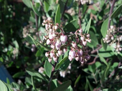 2011-12-22_12-03-45_34.jpg image