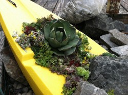 kayak1