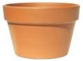 red-clay-pottery-azalea