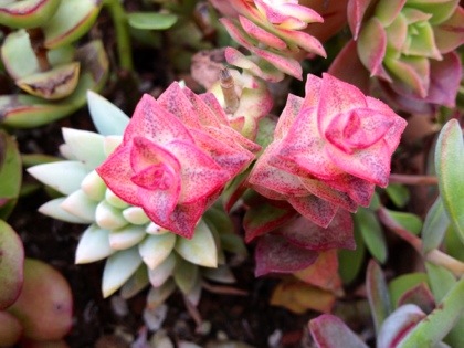 20130319-153022.jpg